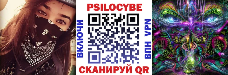 Галлюциногенные грибы Psilocybine cubensis Саяногорск